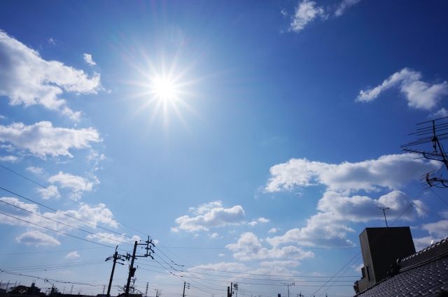 夏の日差し